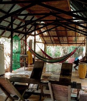 Alter do Chao Other | Viverde selva Redario natural