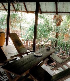 Alter do Chao Other | Viverde selva Redario natural