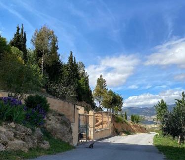 Fontanar House | Vivienda Turística de Alojamiento Rural "El Pino"