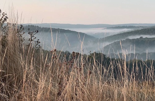 Aarbergen Apartment | Vrbo Property