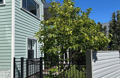 Waikawa Bay Apartment | Waikawa Hideaway Cottage