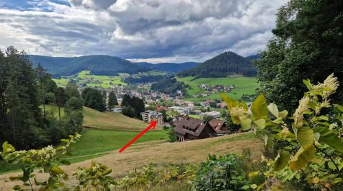 Baiersbronn Apartment | Waldblick-Appartement