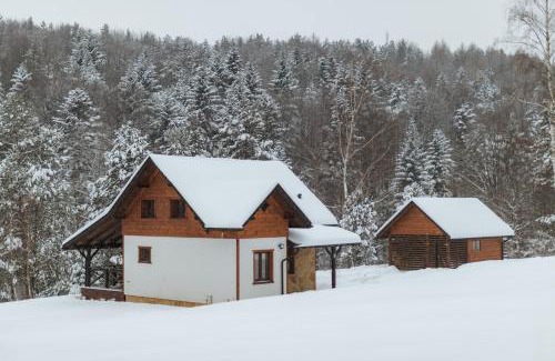 Korczyna Ski Chalet | WANATÓWKA