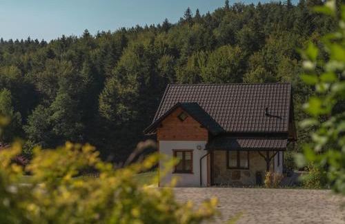 Korczyna Ski Chalet | WANATÓWKA