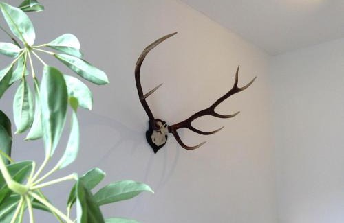 Bad Harzburg Apartment | Wanderlust