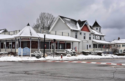 Amherst Apartment | Warm & Welcoming Suite: Amherst Historic District