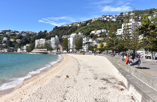 Oriental Bay House | Water front Bayview House