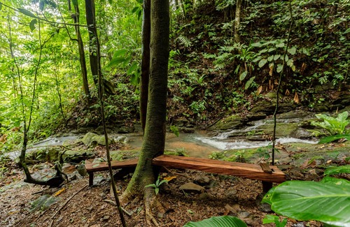 San Isidro de El General Villa | Waterfall and jungle experience, 10 minutes to Nayuaca, 35 minutes to the beach