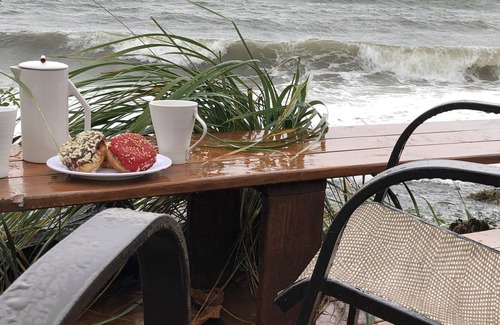 Regional District of Nanaimo Cottage | Waterfront Cozy Duplex Studio Hot tub BBQ clams/oysters kayak rentals