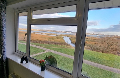 Poole House | Waterfront Holes Bay Poole Dorset - Bird watching paradise :-)