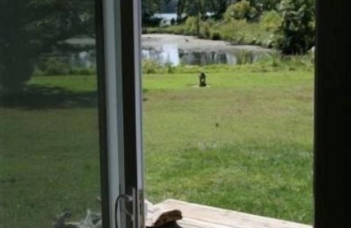 Bryans Road Cottage | Waterfront Sunset Nature Reserve Kayak Eagle Osprey Snakehead Butterflies