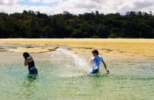 Mallacoota House | Waterside Unit 7 Mallacoota