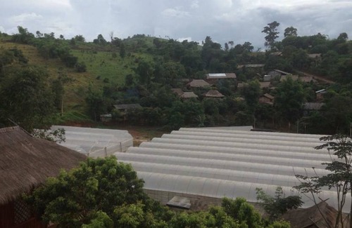 Mae Suai Hotel | Wawee Strawberry House
