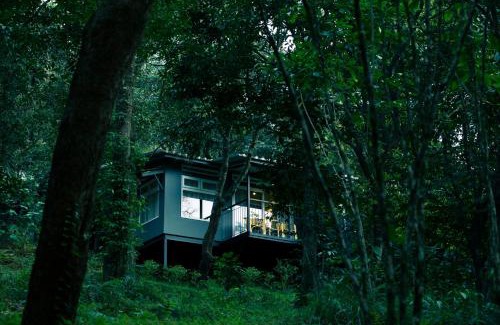 Lakkidi Resort | Wayanad Wild - A CGH Earth Experience