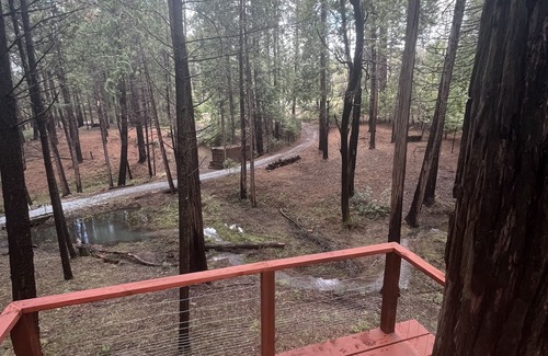 Mokelumne Hill Cabin | Weekend Getaway Relax & Recharge 5 acres Nature Retreat & Dog Heaven!