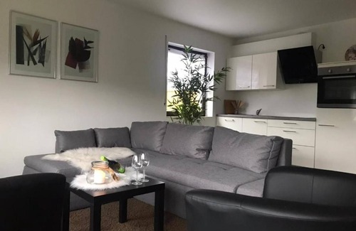 Osann-Monzel Apartment | Weingut F. Gödert - Ferienwohnung