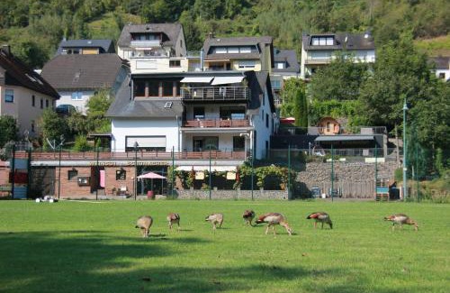 Sankt Aldegund Apartment | Weingut Schumacher - mit privatem Saunabereich