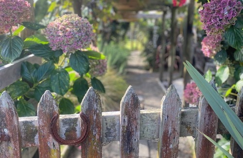 Nukuhou Cabin | Weka cabin, great views