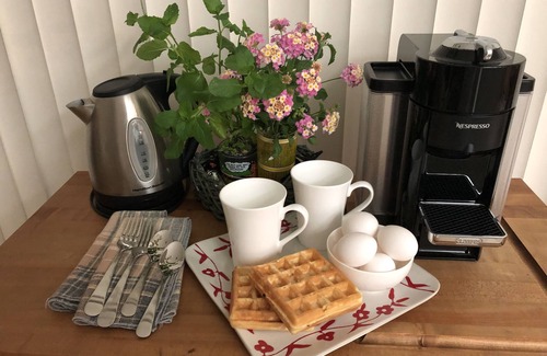 Desert Palms House | Welcome to Bougainvillea Desert Retreat!