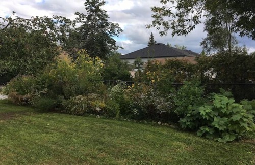 Georgina House | Welcome to Cozytown by the Lake