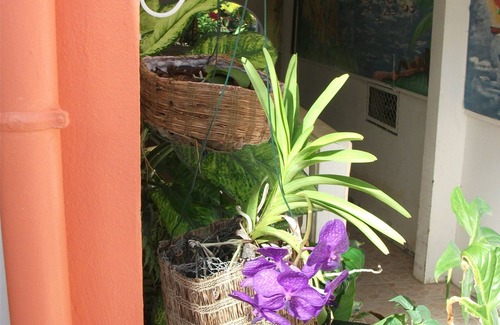 Port-Louis Apartment | Welcome to Residence Madelia in Guadeloupe