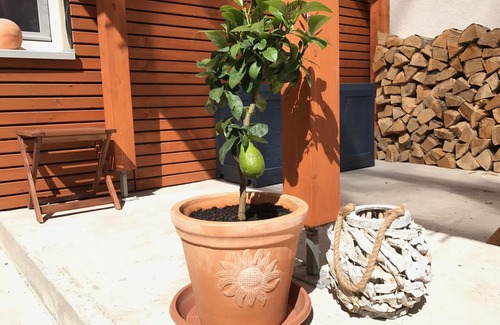 Gollheim House | Welcome to the Villa Kerzenheimer Tor