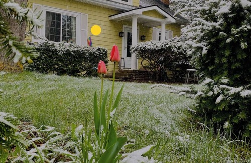 Bryant Pattengill East House | Welcoming, Boho Chic, cozy, well-situated. Walk to the stadium, coffee & bars.