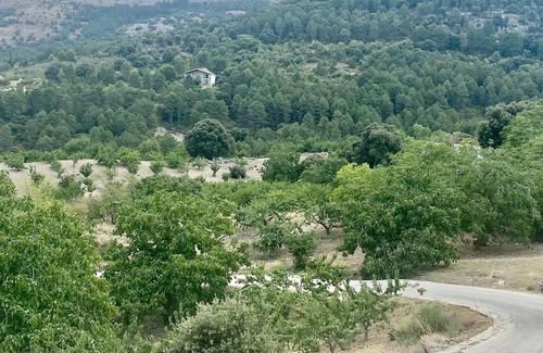 Torres Villa | Welcoming villa in Torres with private pool