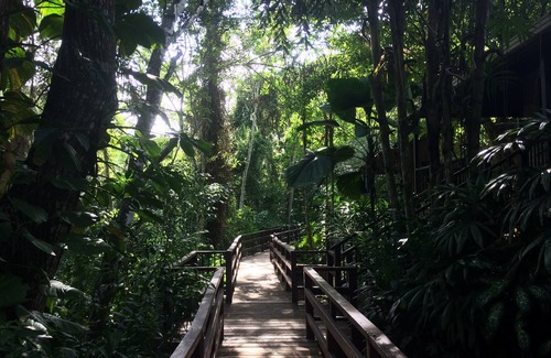 San Ignacio House | Well appointed Garden Cottage in the heart of the jungle in Maya Hills!
