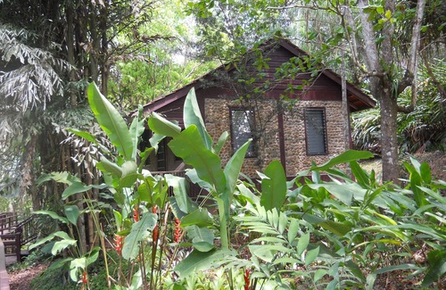 San Ignacio House | Well appointed Garden Cottage in the heart of the jungle in Maya Hills!