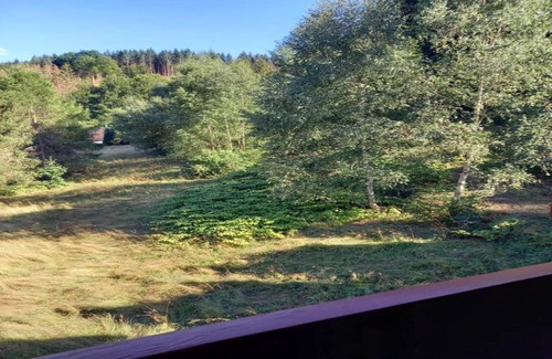 Schnett House | Wellness Home with Garden