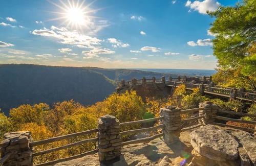 Westover Apartment | Westover 1BR Apt | Pet-Friendly | Near WVU