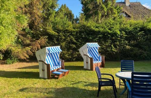Wieck auf dem Darss House | Weststrandläufer
