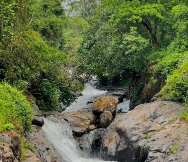 Vayittiri Resort | Wetlands Wayanad Pool Resort with Natural Waterfalls