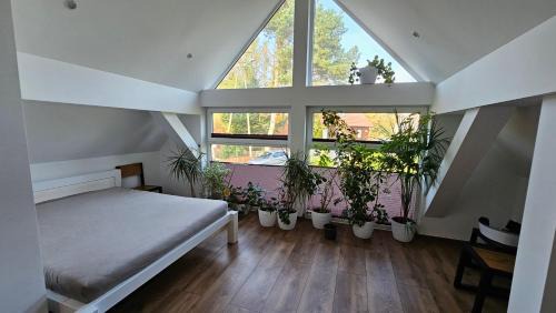 Tuchola House | White