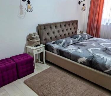 Campulung Moldovenesc Apartment | White Studio