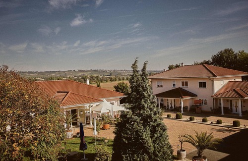 Mainz-Bingen Apartment | White wine apartment with panoramic view