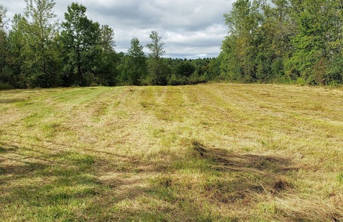 Town of Root RV Rental | Whitetail Meadows RV Campsite