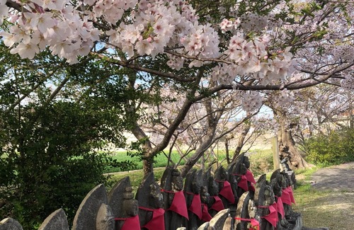 Ogi House | Whole house rental/Ogi Saga