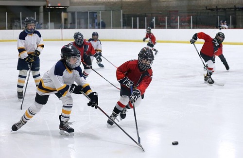 Northwest Calgary House | Whole Unit- 4 Bedroom Duplex- Full privacy