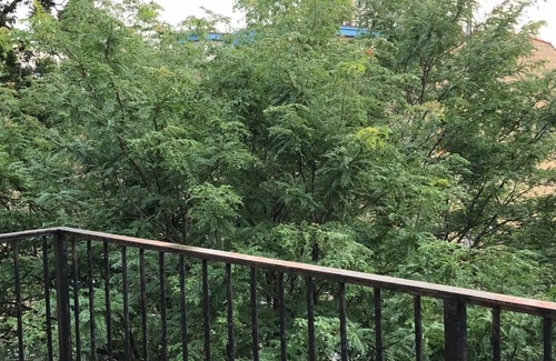 Wicker Park House | Wicker Park 3 Bedroom. Top floor Historic Greystone. Near Damen El Stop.