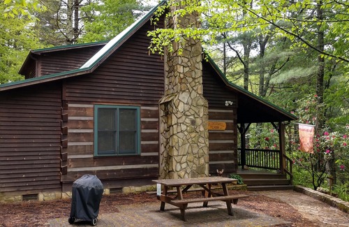 Lansing Cabin | Wil-deer-ness Cabin- Secluded-Firepit-Hot Tub-WiFi-Dog Friendly