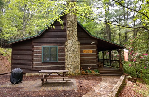 Lansing Cabin | Wil-deer-ness Cabin- Secluded-Firepit-Hot Tub-WiFi-Dog Friendly