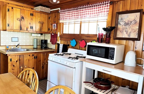 Park Falls Cabin | Wild Goose Resort - Gosling | 0 Bed, 1 Bath