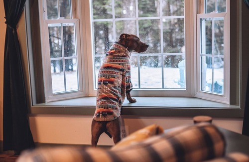 Grafton Cabin | WildeWoods Cabin - pet-friendly, yard + gardens, gas fireplace + outdoor firepit