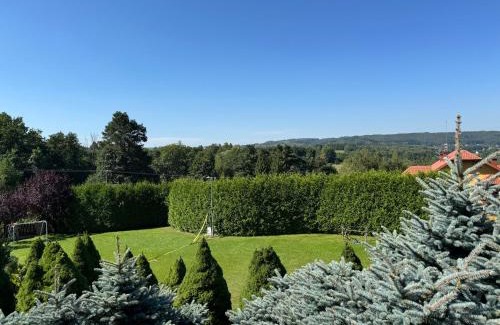 Czudec Apartment | Willa Winnica Maria Anna