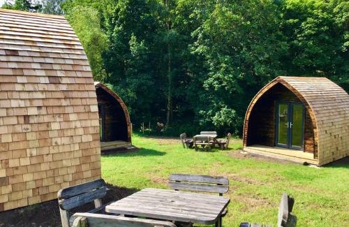 Carlton-in-Cleveland Other | Willow Pod