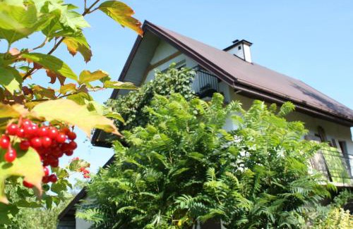 Ryglice House | Wimika