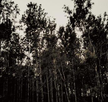 Yercaud House | Win stay inn