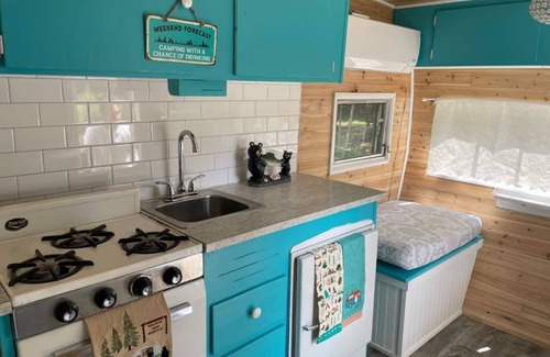 Town of Conesville Cabin | Windham 2 BR Cabin In The Woods With Bonus Vintage Updated Camper .